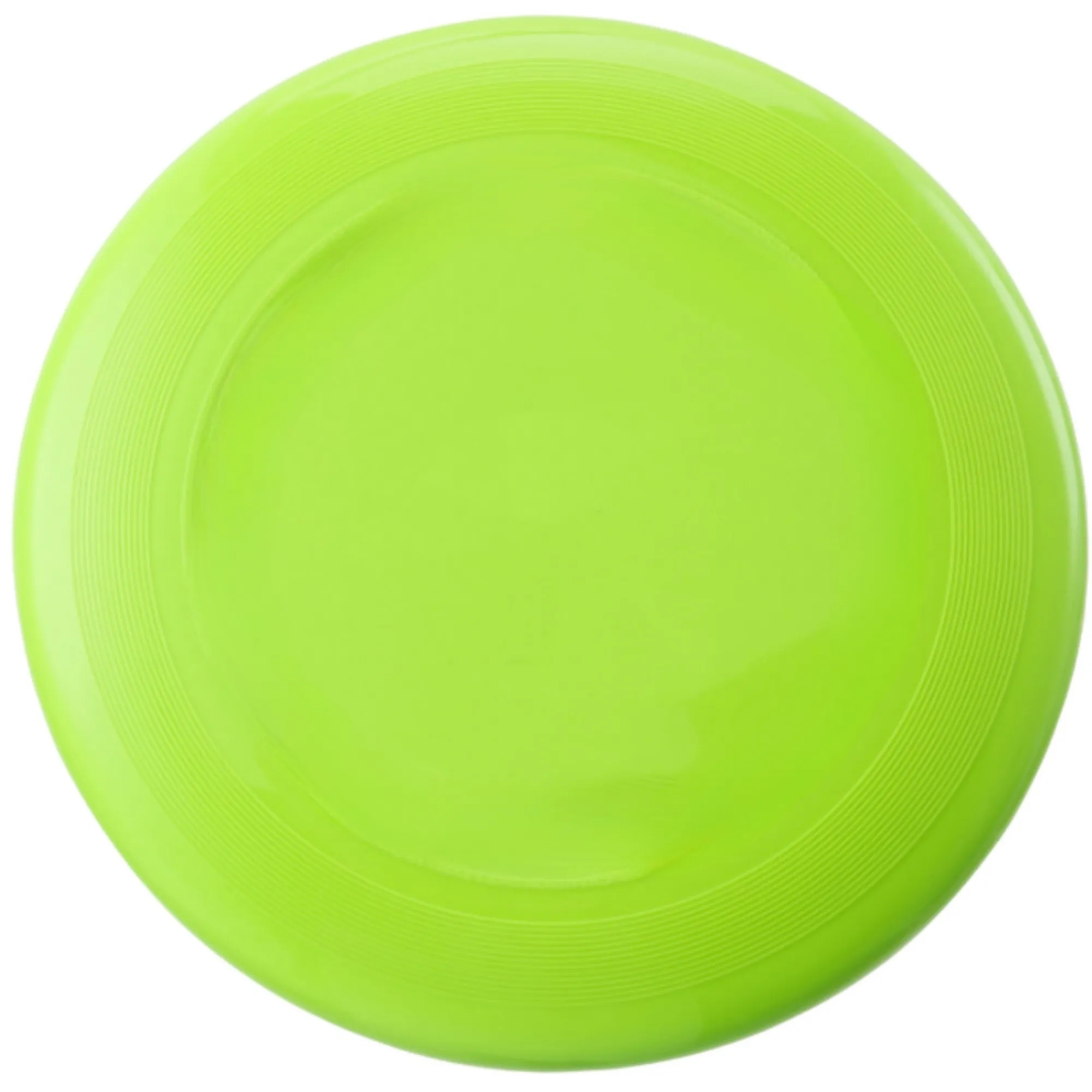 Dog Flying Disc 13