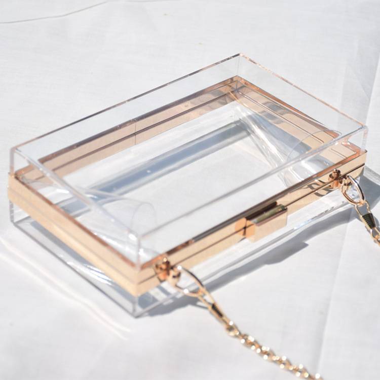 Women's Clear Wallet Acrylic Handbag Messenger Bag 14