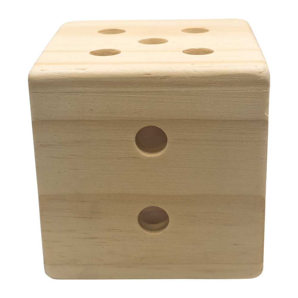 Giant Dice Pen Holder 3