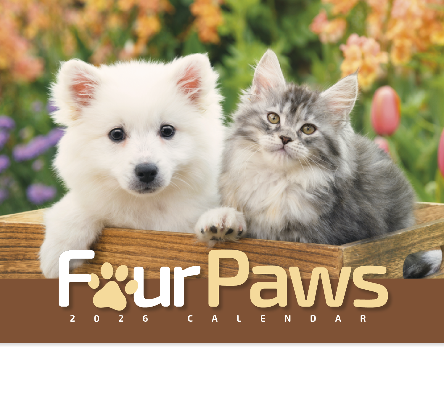 HotLine® Products Four Paws Appointment Calendar - Stapled 19