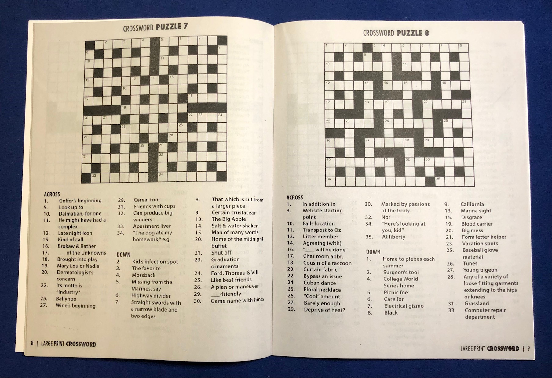 PUZZLE BOOK - LARGE PRINT Crossword Puzzle Book - Volume 2 5