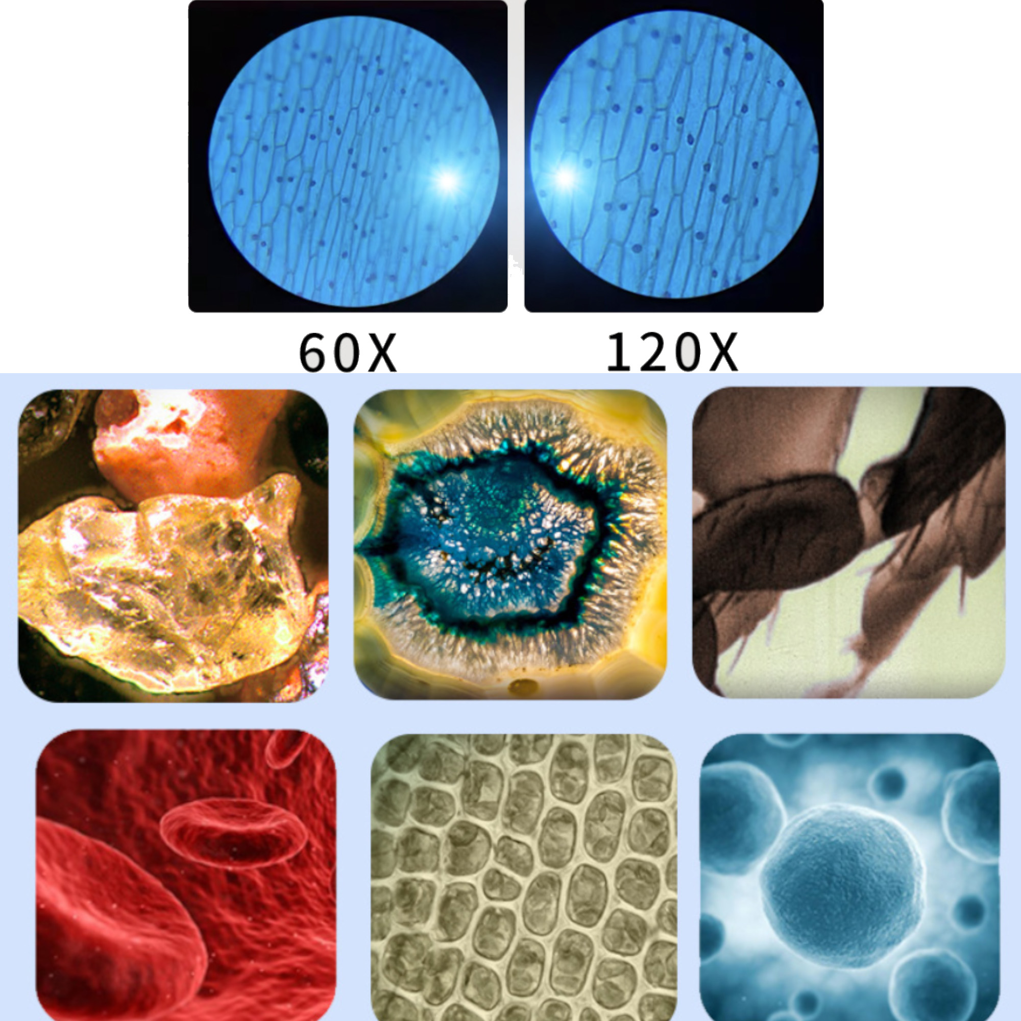 60X to 120X Microscope Kids Portable Optical 5