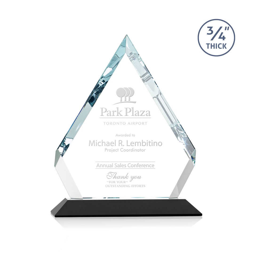 Apex Award - Black 4