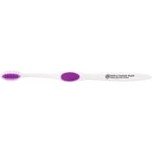 Winter Accent Toothbrush 48