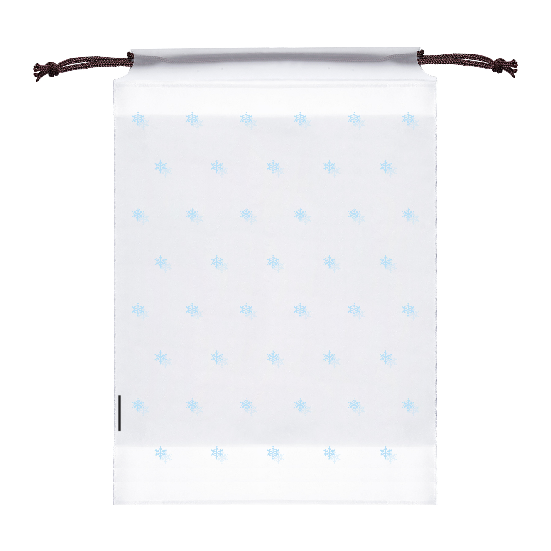 Clear PE Shoe Bags for Travel 2