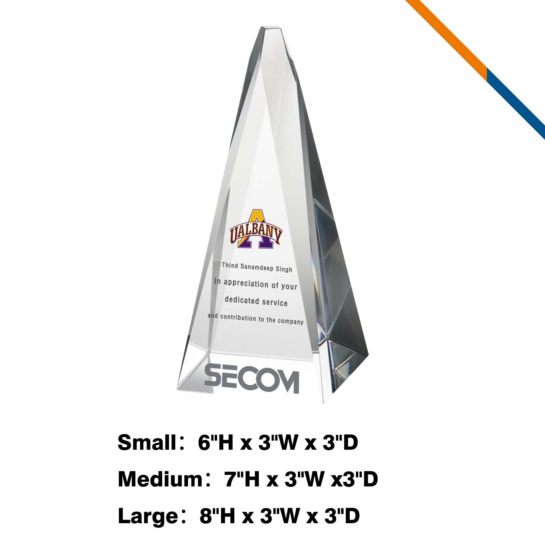 Isami Tower Award 4