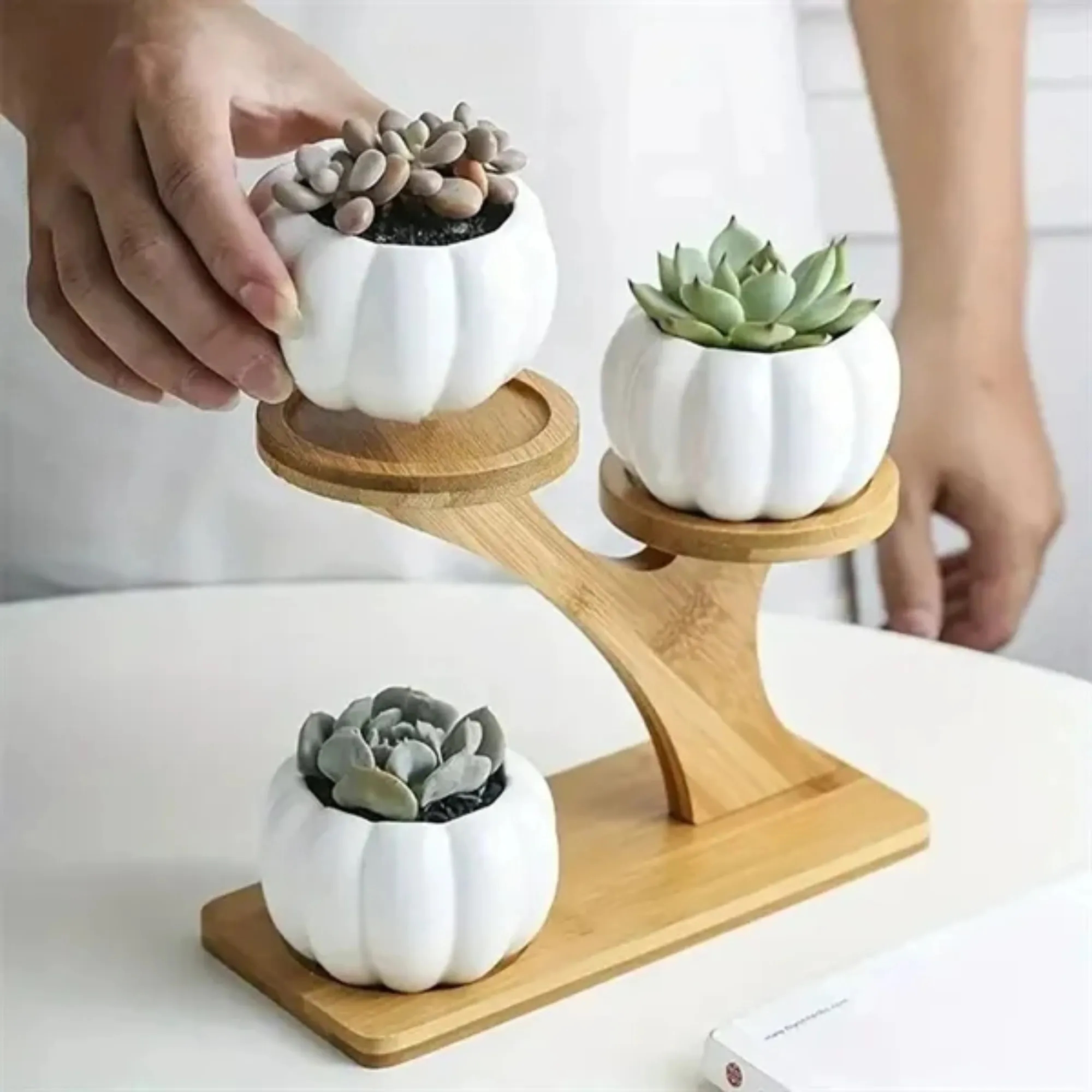 Wooden desktop plant rack indoor flower stand 5