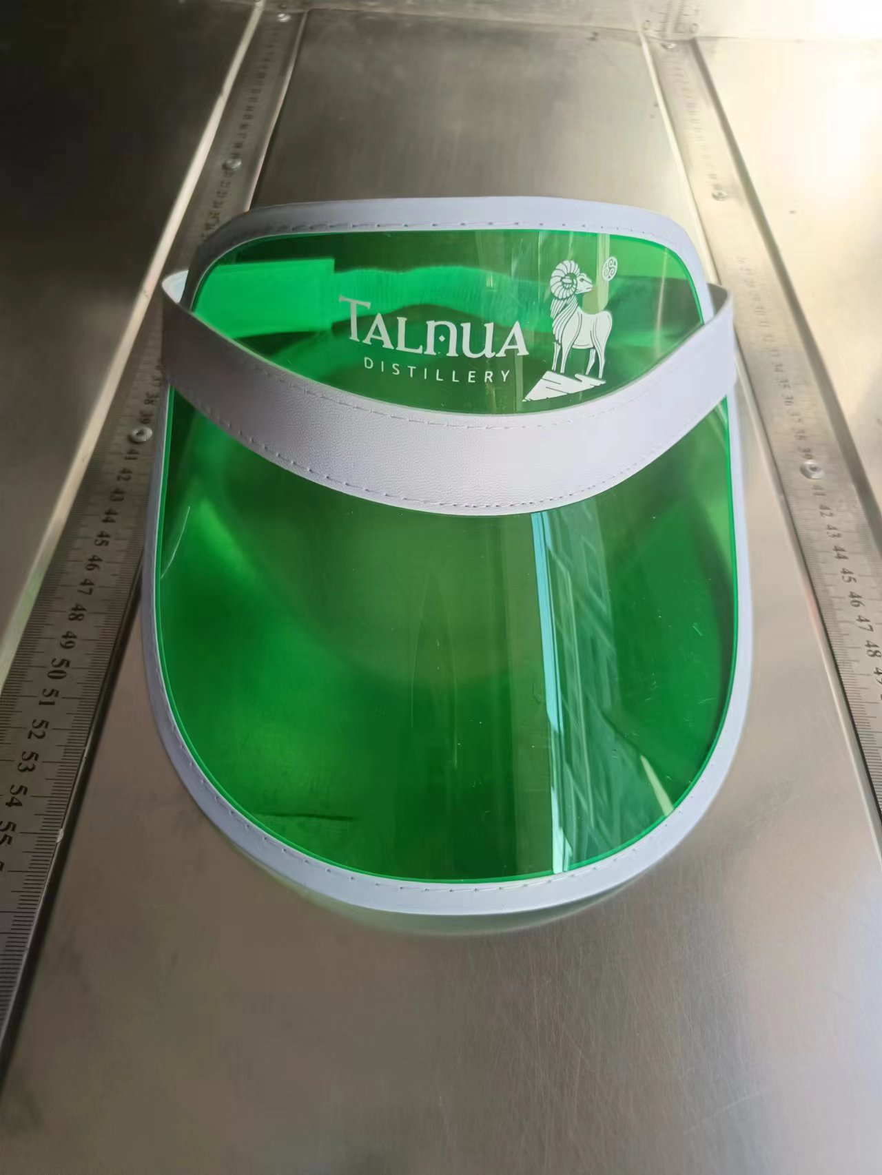 Plastic Sun Visor 1