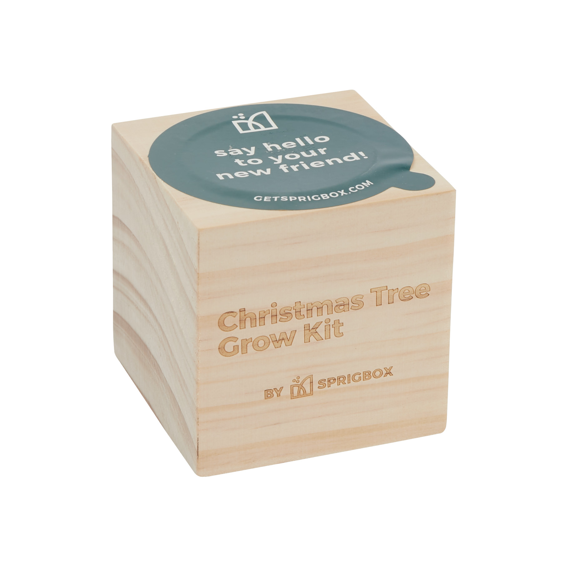 Sprigbox Christmas Tree Grow Kit 11