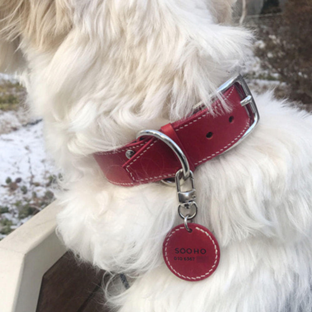 Classic Pet Collar Name Tag 7