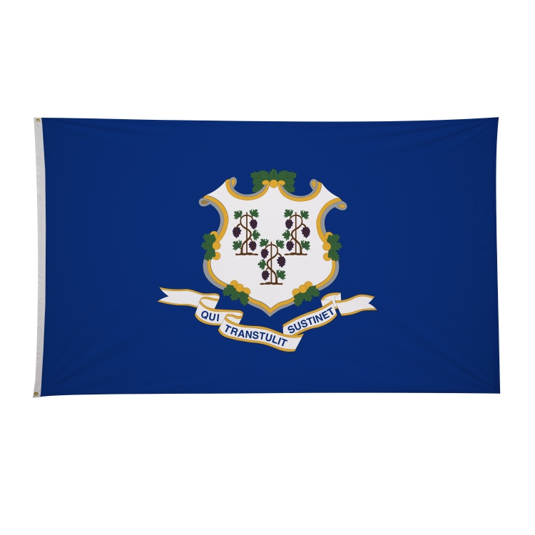 6' x 10' State Flags 46