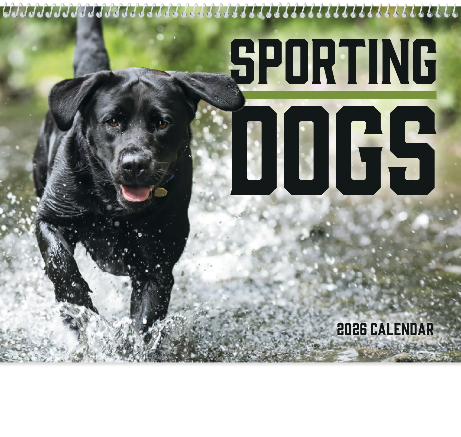 Good Value™ Sporting Dogs - Spiral Calendar 10