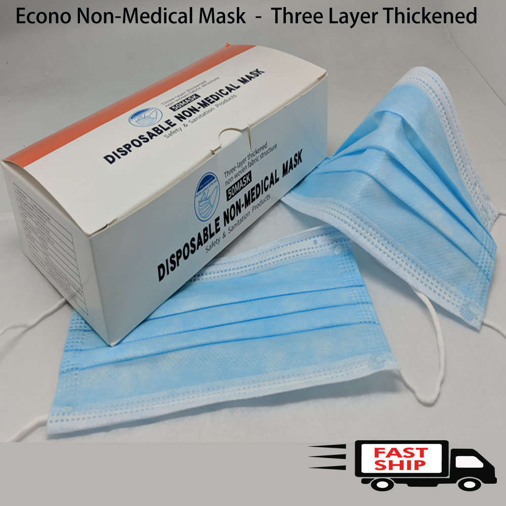 Econo Non-Medical Mask 2