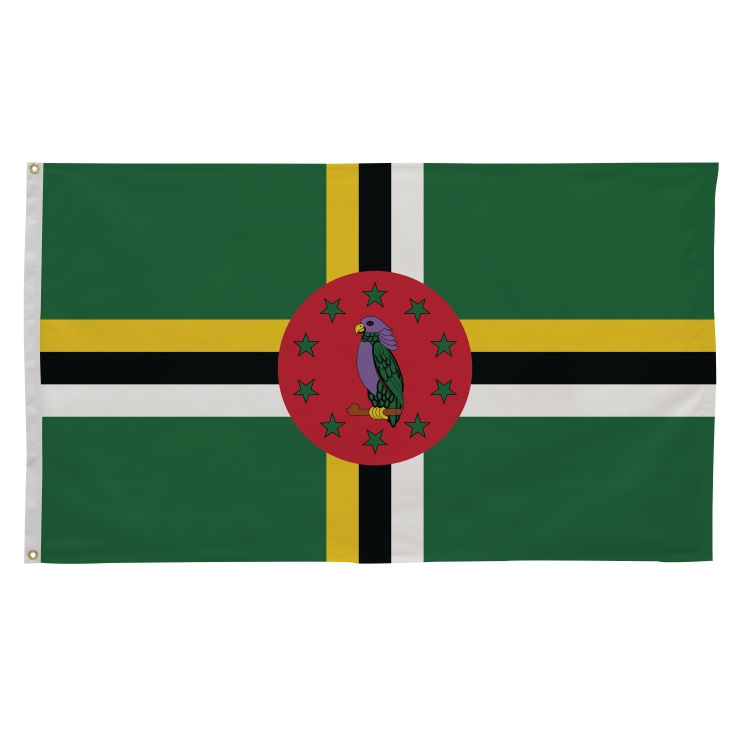 3' x 5' International Flags 70