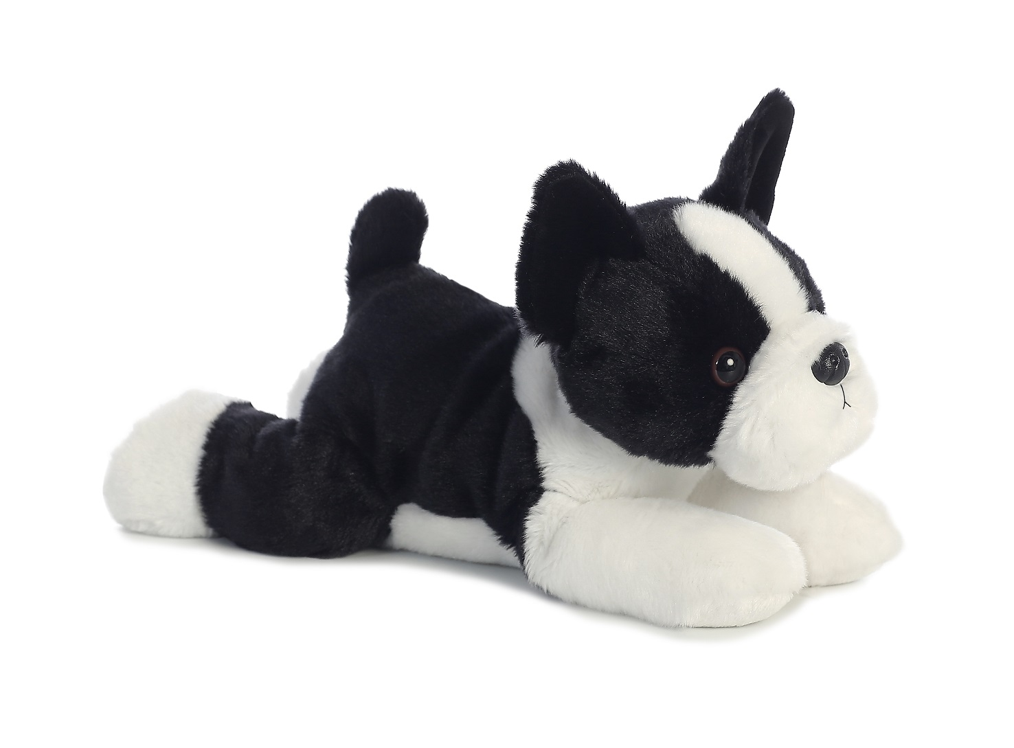 Lux Series 8" Boston Terrier 3