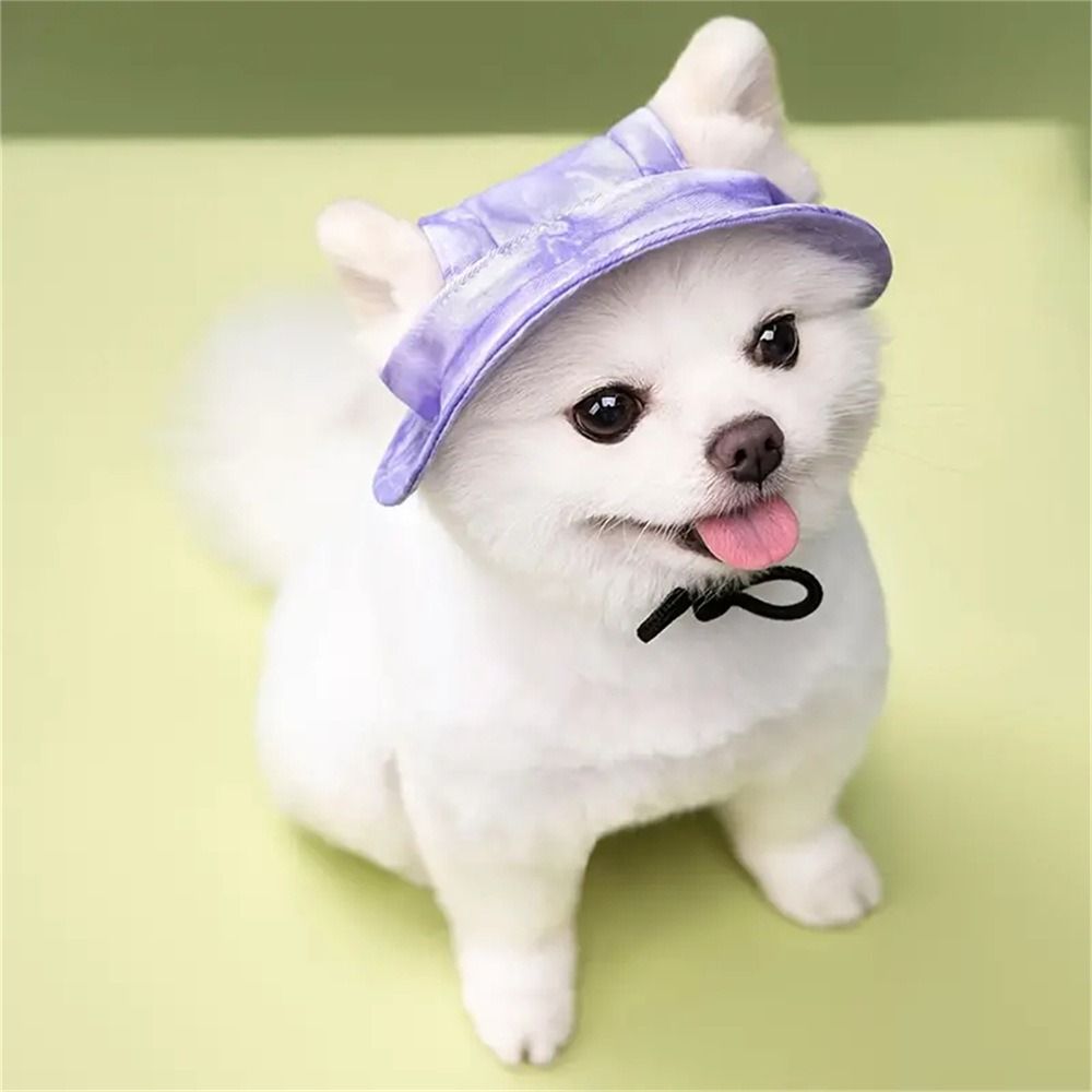 Pet Sun Hat 3