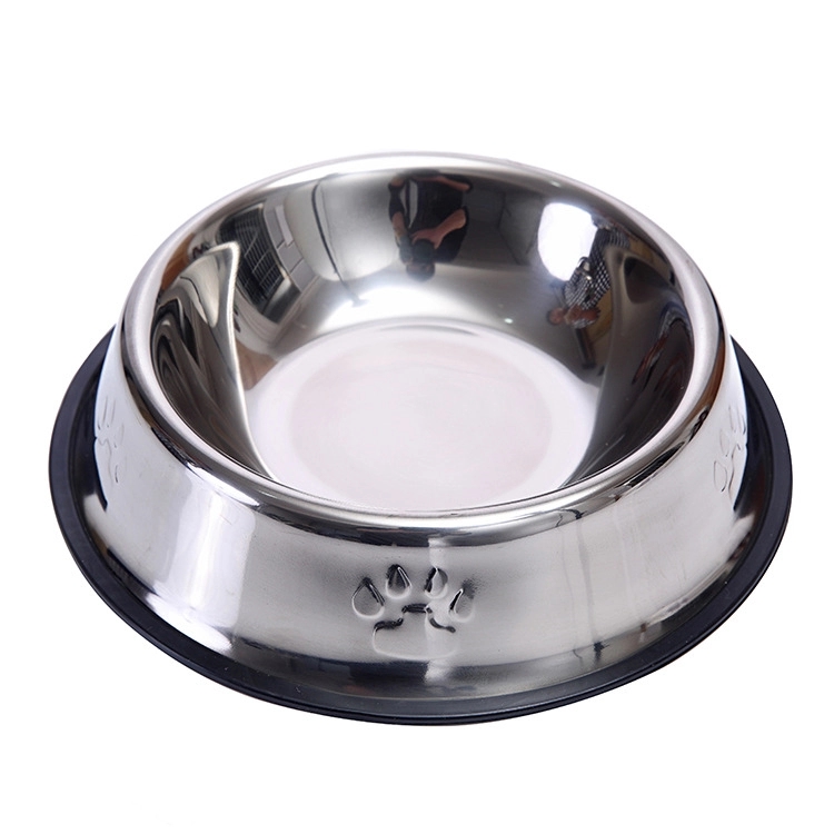 Dog Bowl 3