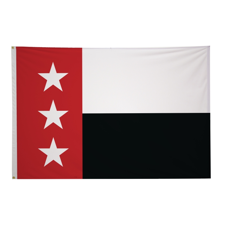 4' x 6' City Flags 54