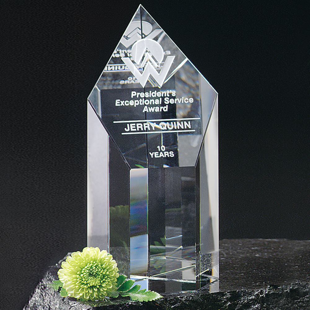 Summit Award 7