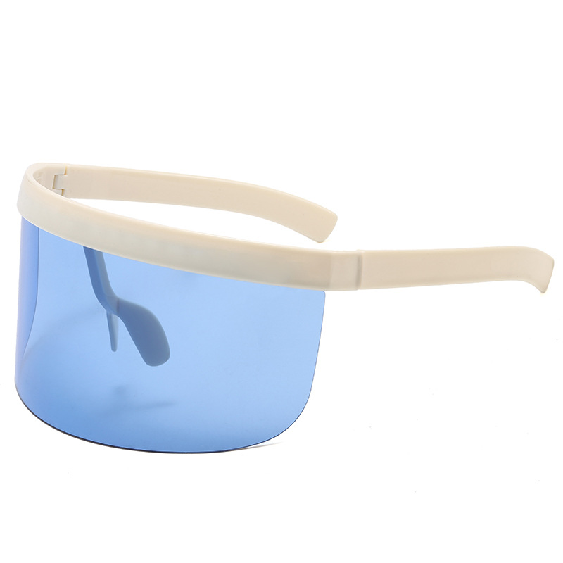 Face Shield Goggles 5