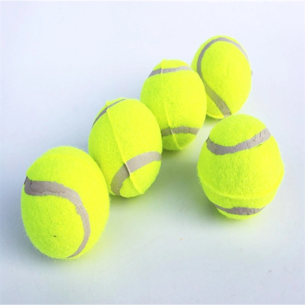 Pet Training Tennis Ball 5