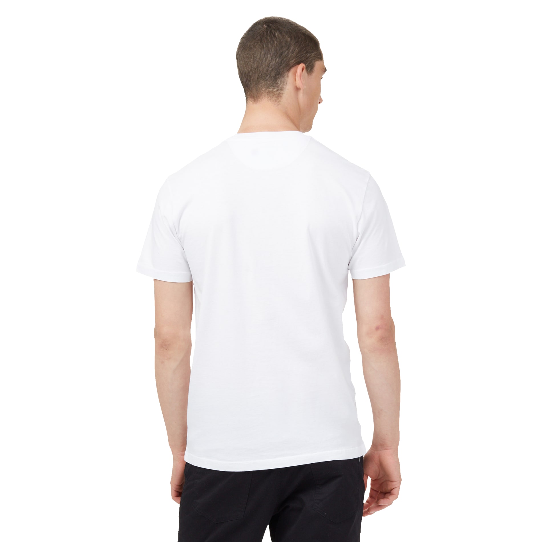 tentree Organic Cotton Short Sleeve Tee - Men's 11
