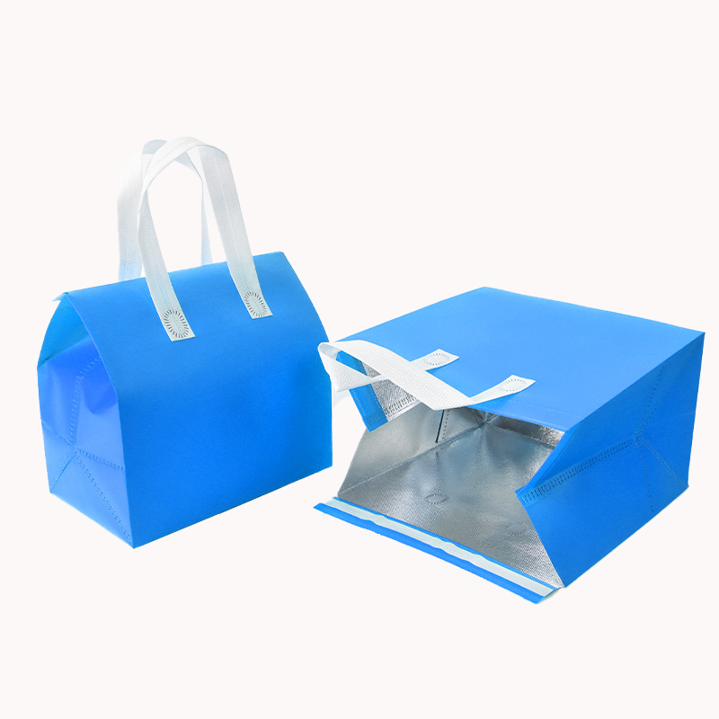 Aluminium Foil Insulation Bag 13