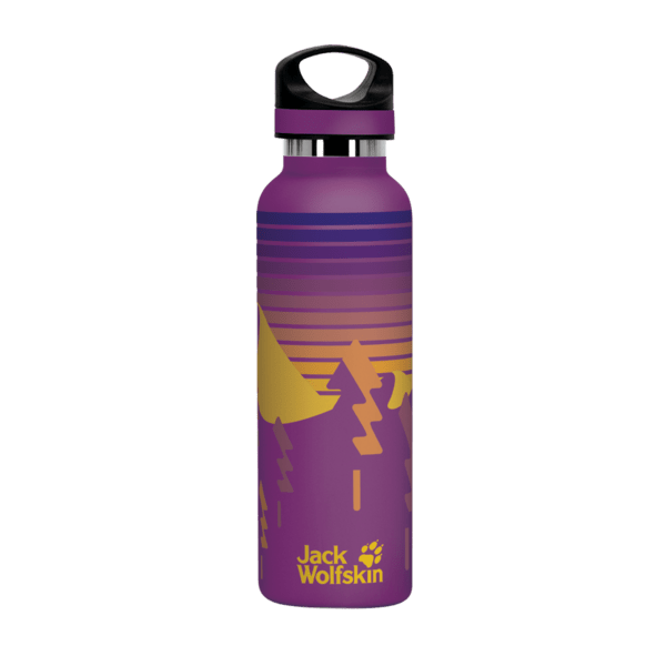 20 oz. Basecamp Tundra Bottle with Screw Top Lid 188