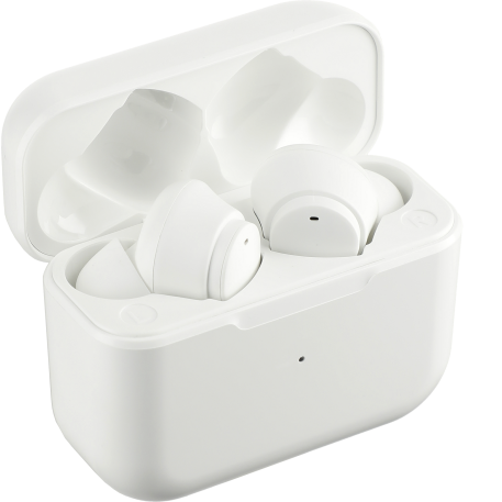 Synergy True Wireless Auto Pair Earbuds with ENC 40