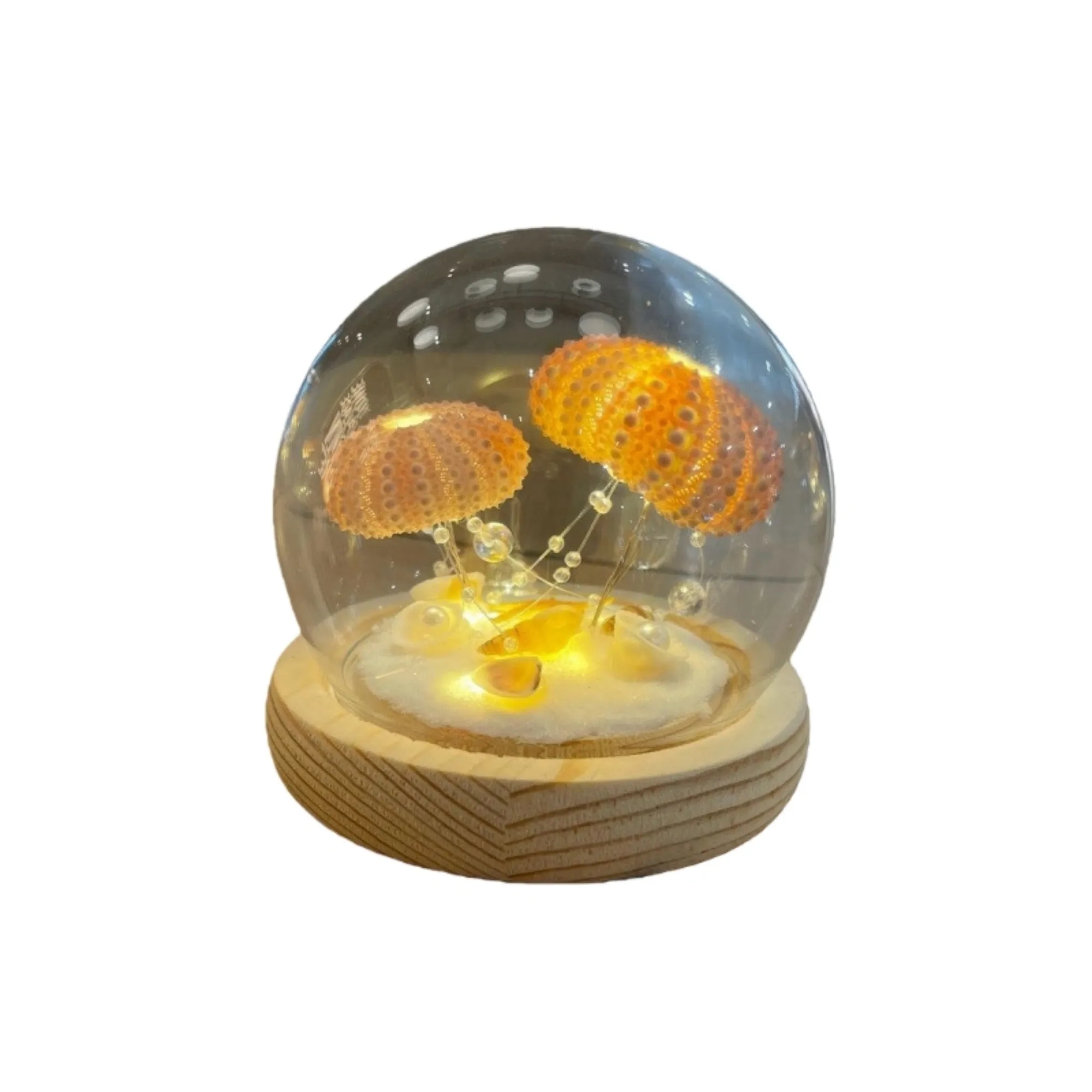 Illuminated Seashell Ornament Ambient 4