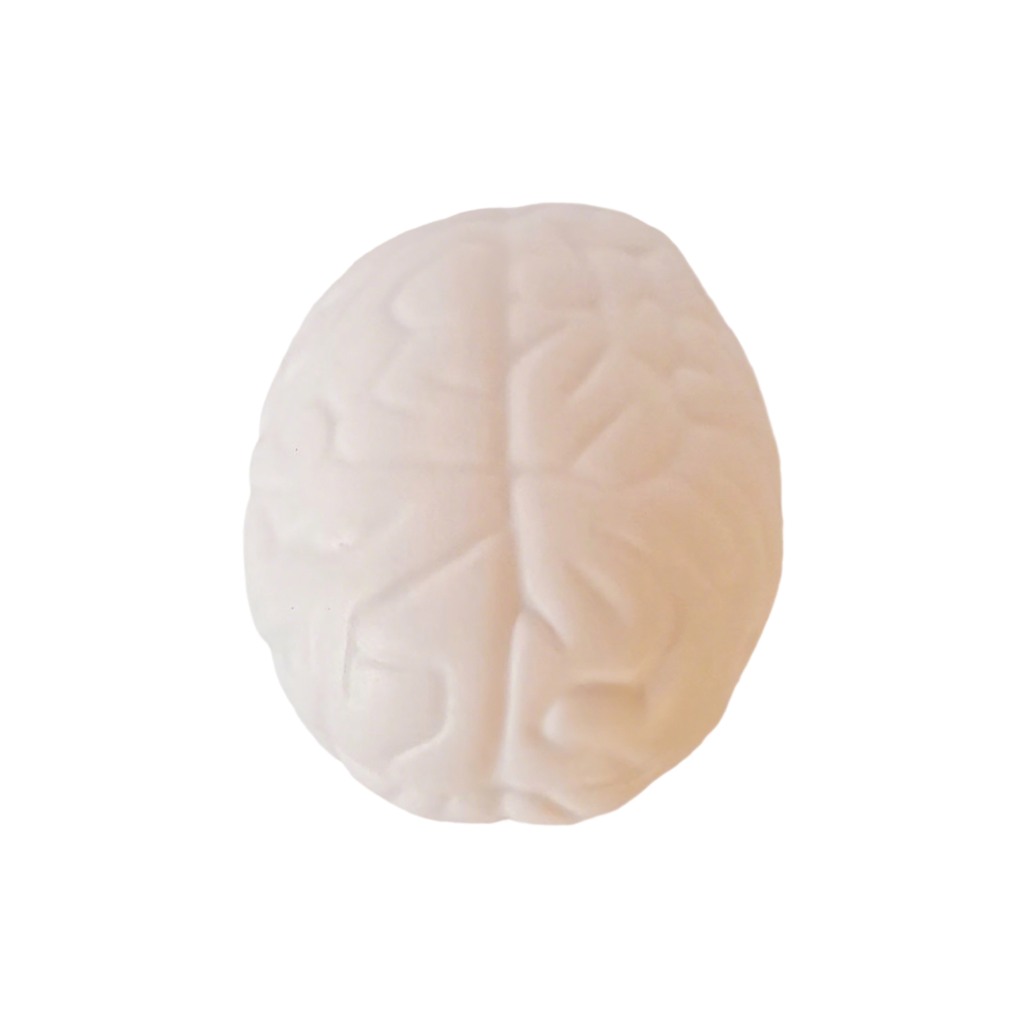 Brain Shape Foam Stress Reliever For Office And Education Use 4