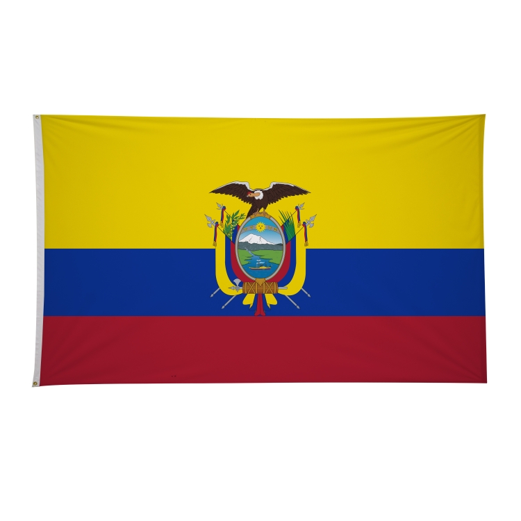 6' x 10' International Flags 29