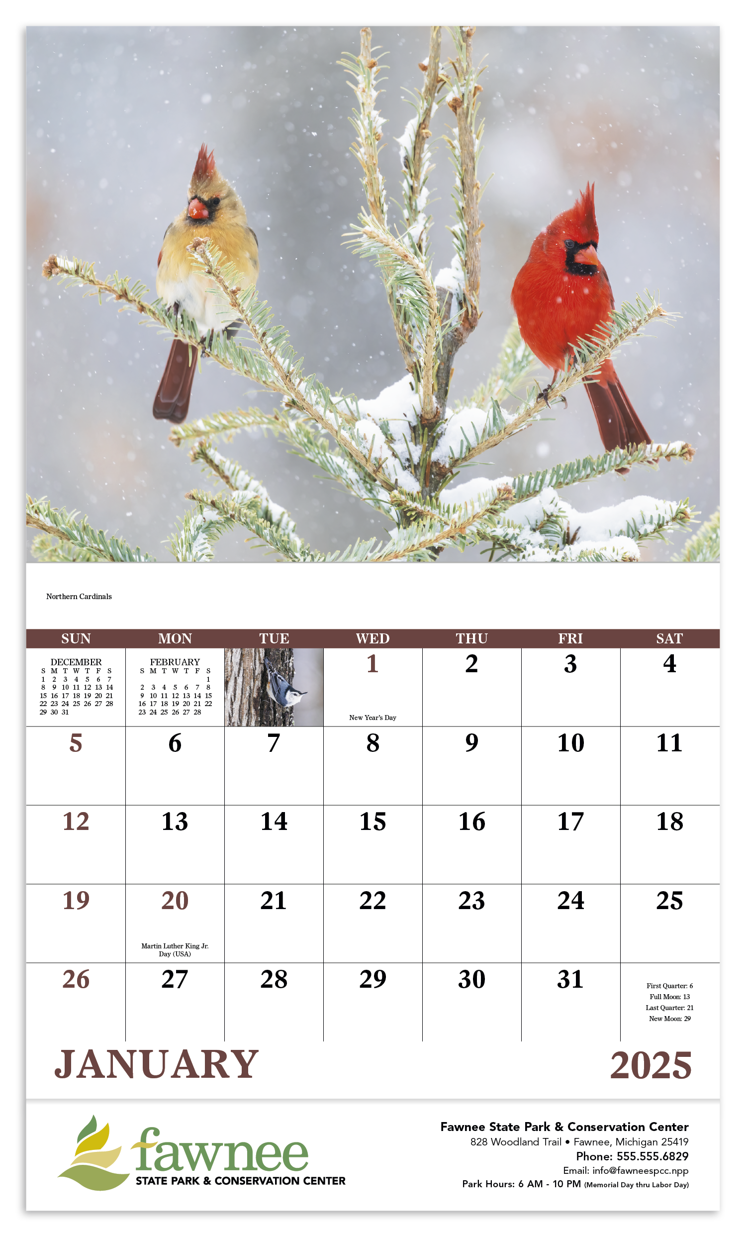 Good Value™ Birds of North America - Stapled Calendar 38