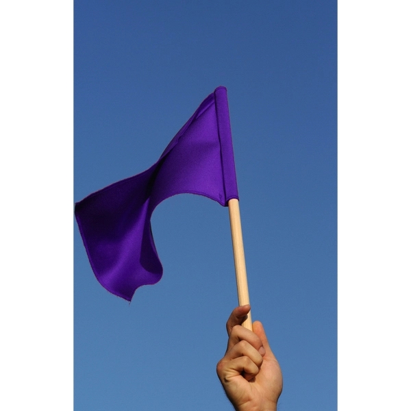 6" x 9" Stock Attention Stick Flags - wPoly 2