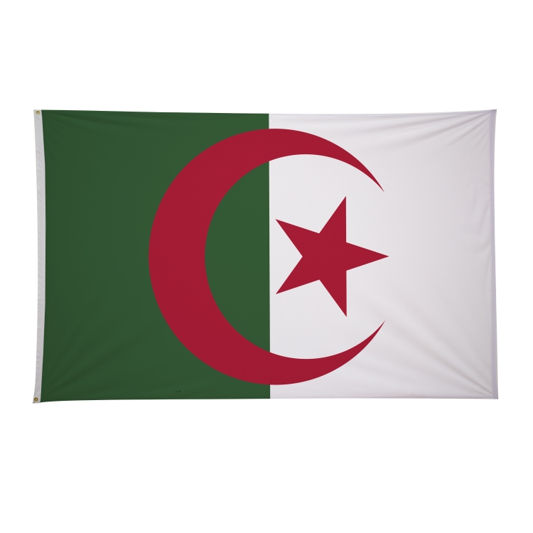5' x 8' International Flags 77