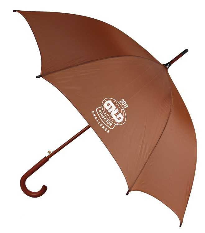 The 48" Auto Open Umbrella with Hook Handle 2