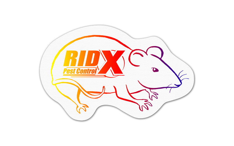 Rat/Mouse Vinyl Jar Opener 11