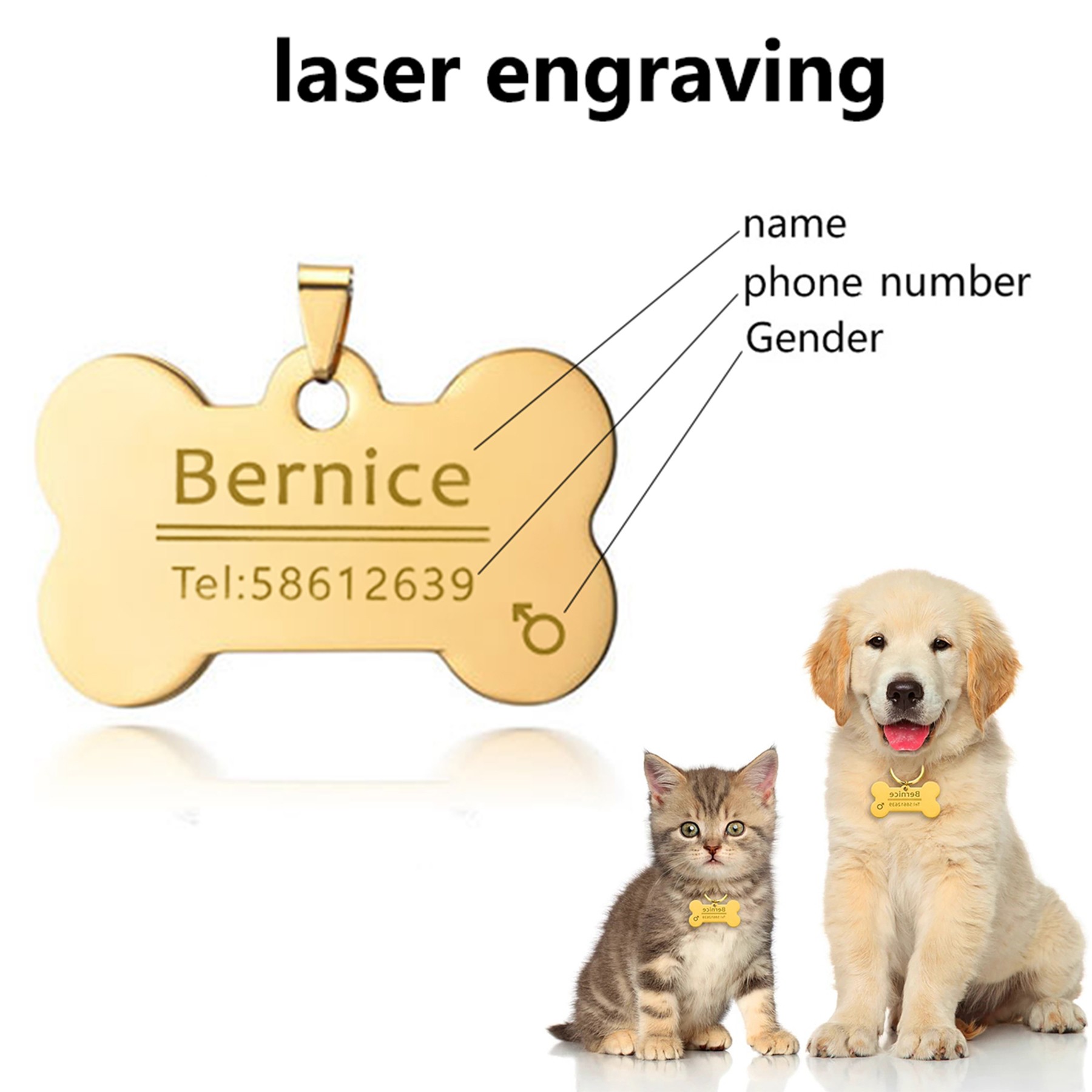 Bone Shape Pet ID Tag 2