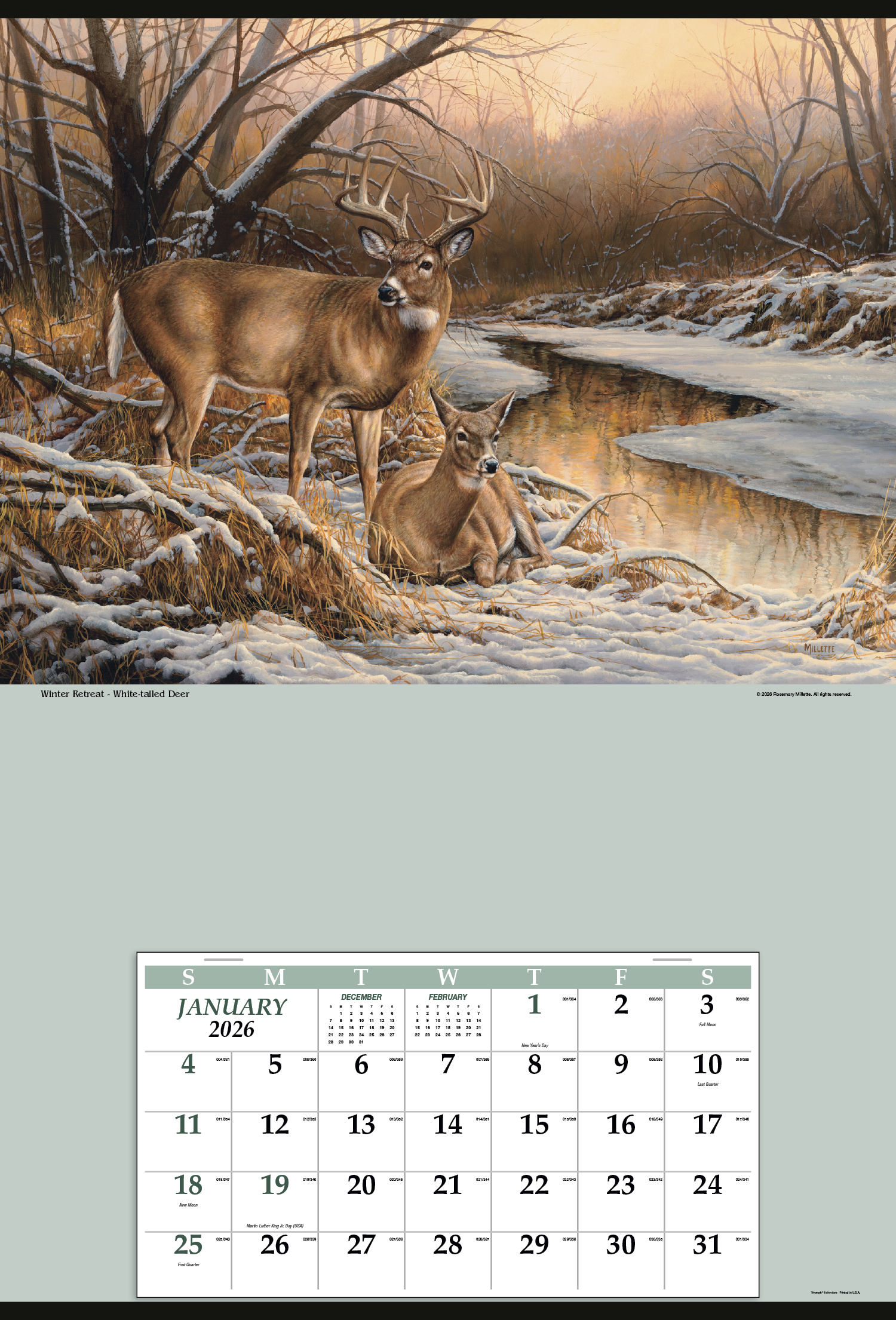 Triumph® Calendars Jumbo Hanger (12-Month) Calendar 36