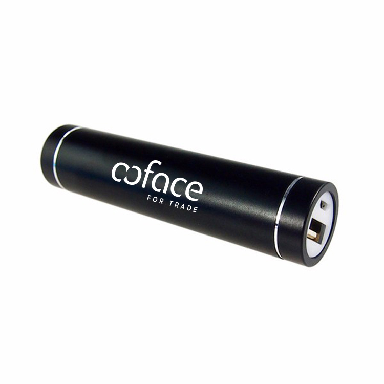 2200mAh Metal Power Bar Charger 11