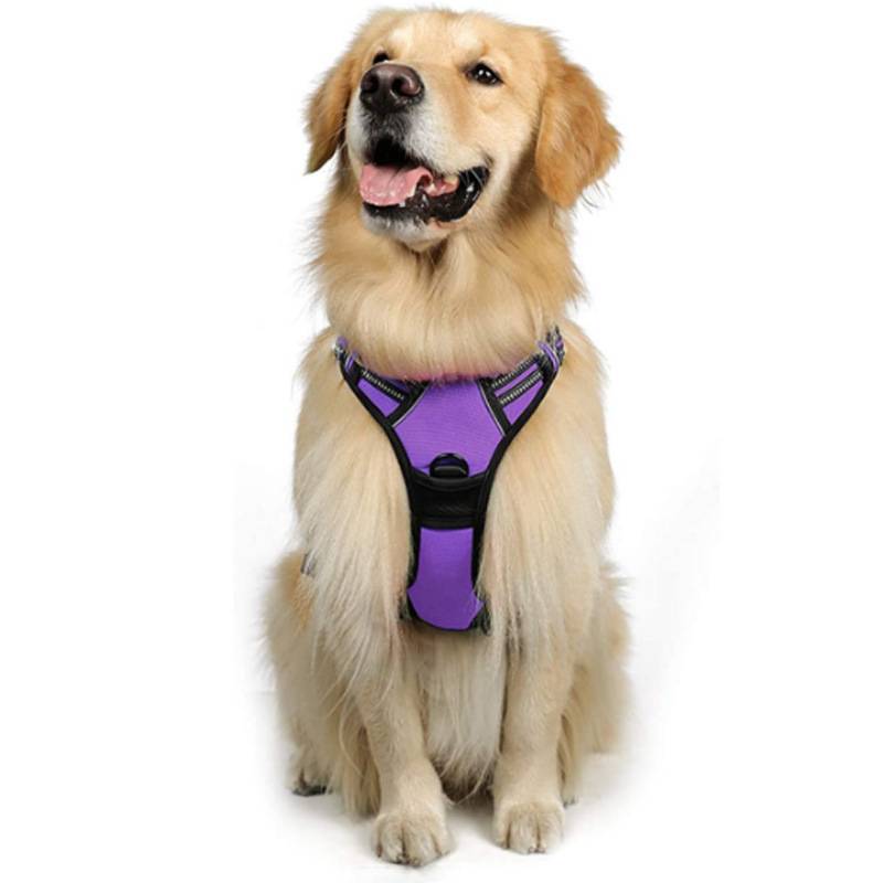 Adjustable Dog Harness 8