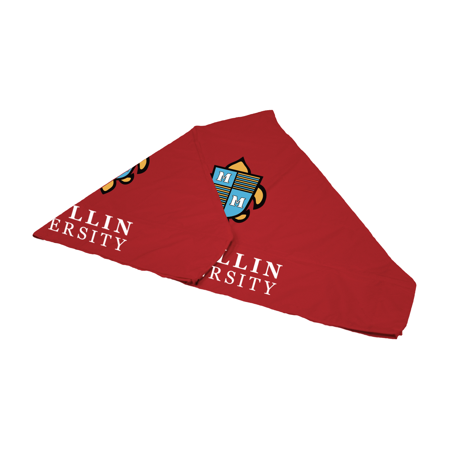 10' Tent Canopy (Full-Color Imprint, 4 Locations) 9