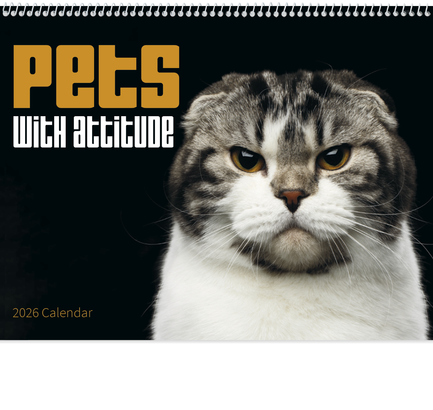 Good Value™ Pets with Attitude - Spiral Calendar 40