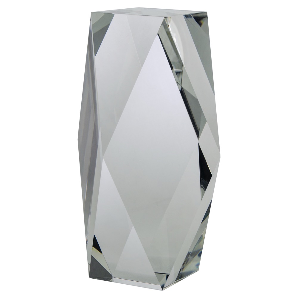 6" OptiMaxx Merit Award 5