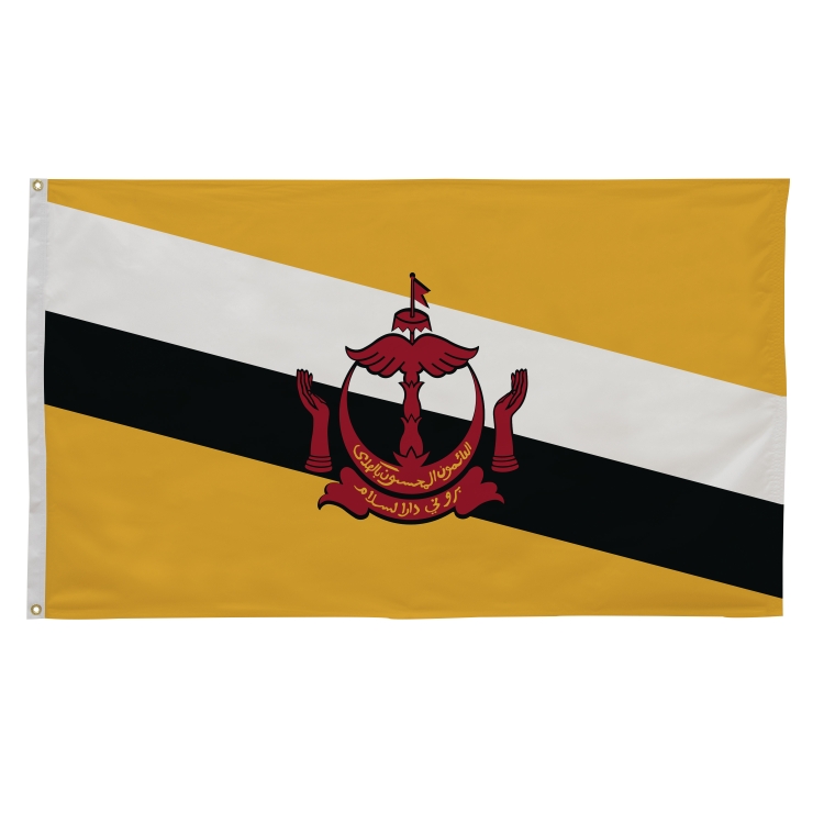 3' x 5' International Flags 16