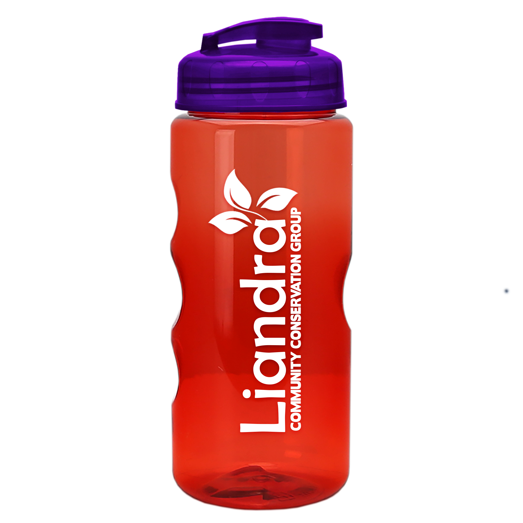 Garyline® Mini Mountain Tritan® Bottle with Flip-Top Lid - 22 oz. 164