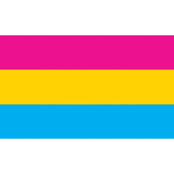 Pansexual Deluxe Flag 1