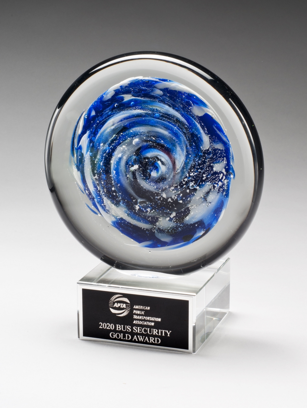 Ocean View Art Glass 7" 2