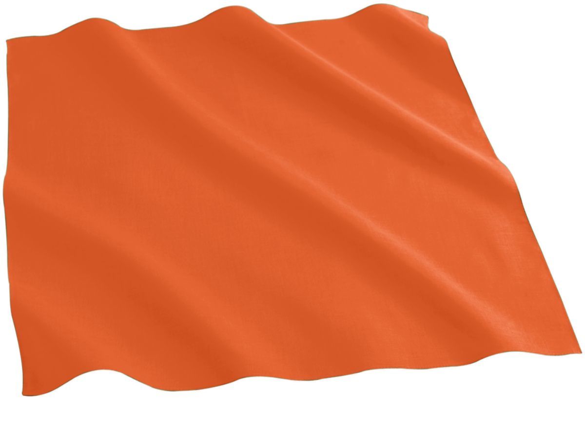 Cotton Bandana 12