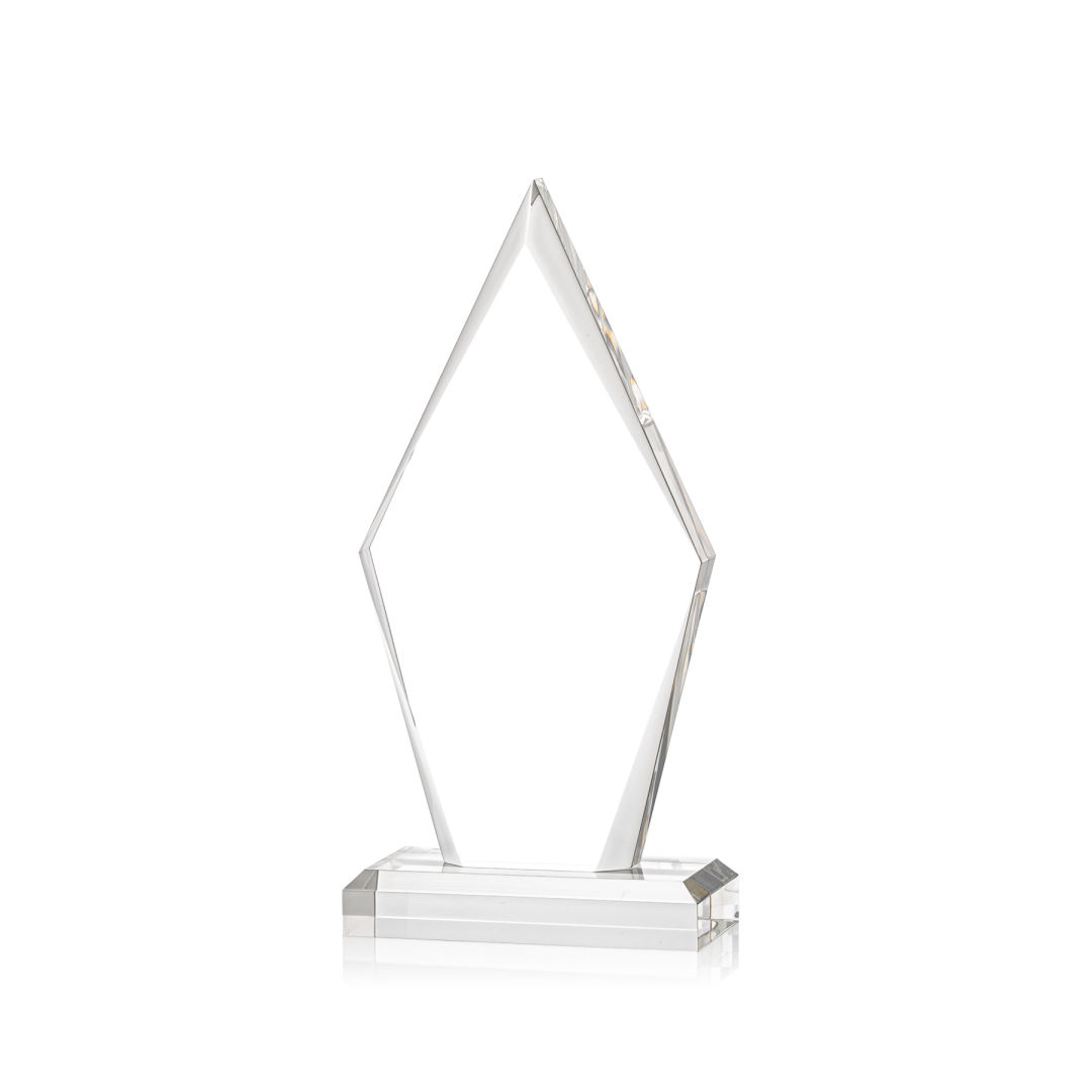 Palmer VividPrint™ Award 7